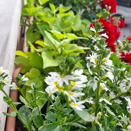 Charming Couette-café Les Gets